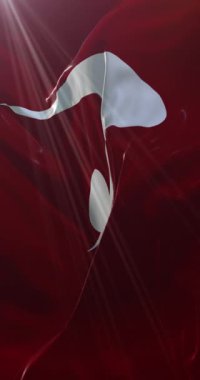 Akita Bölgesi bayrağı, Japonya. Döngü. 4K Dikey