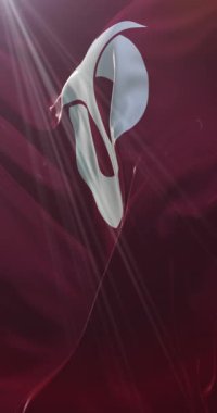 Aichi Bölgesi, Japonya bayrağı. Döngü. 4K Dikey