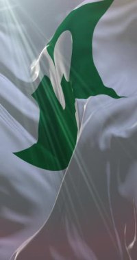 Aomori Bölgesi bayrağı, Japonya. Döngü. 4K Dikey