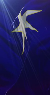 Chiba Bölgesi bayrağı, Japonya. Döngü. 4K Dikey