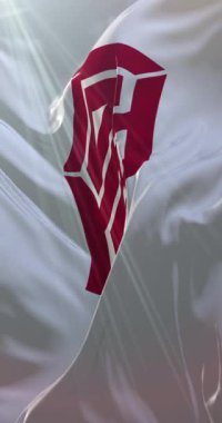 Japonya 'nın başkenti Kochi' nin bayrağı. Döngü. 4K Dikey