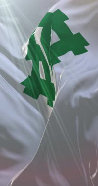 Fukui şehri, Japonya bayrağı. Döngü. 4K Dikey