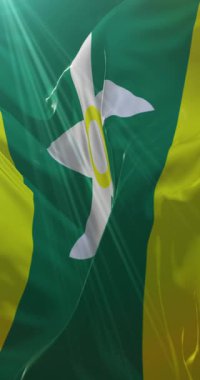 Ehime Bölgesi Bayrağı, Japonya. Döngü. 4K Dikey