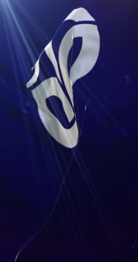 Fukui Bölgesi bayrağı, Japonya. Döngü. 4K Dikey