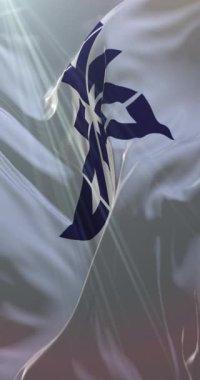 Fukuoka şehri, Japonya bayrağı. Döngü