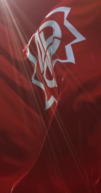 Fukushima şehri, Japonya bayrağı. Döngü. 4K Dikey