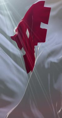 Japonya 'nın Gifu şehrinin bayrağı. Döngü. 4K Dikey