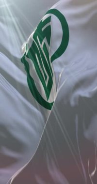 Gifu Bölgesi bayrağı, Japonya. Döngü. 4K Dikey