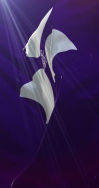 Gunma Bölgesi, Japonya bayrağı. Döngü. 4K Dikey