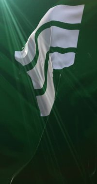 Japonya 'nın başkenti Hiroşima' nın bayrağı. Döngü. 4K Dikey