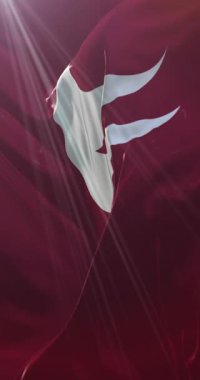 Japonya 'nın Hiroşima Bölgesi bayrağı. Döngü. 4K Dikey