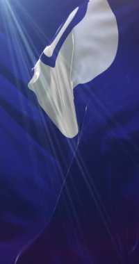 Japonya 'nın Ibaraki ilinin bayrağı. Döngü. 4K Dikey