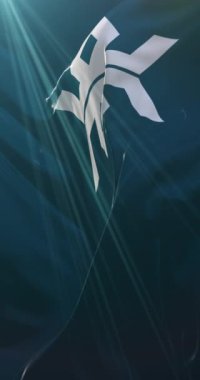 Iwate Bölgesi, Japonya bayrağı. Döngü. 4K Dikey