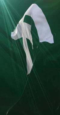 Japonya 'nın Kagawa ilinin bayrağı. Döngü. 4K Dikey