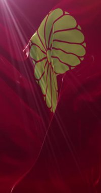 Japon İmparatoru 'nun standart bayrağı. Döngü. 4K Dikey