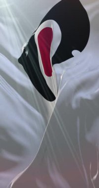 Japonya 'nın Kagoshima bölgesinin bayrağı. Döngü. 4K Dikey