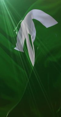 Kobe şehri, Japonya bayrağı. Döngü. 4K Dikey