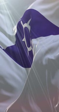 Japonya, Kofu şehrinin bayrağı. Döngü. 4K Dikey