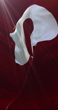 Japonya 'nın Kumamoto Bölgesi bayrağı. Döngü. 4K Dikey