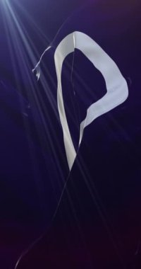 Japonya 'nın başkenti Maebashi' nin bayrağı. Döngü. 4K Dikey