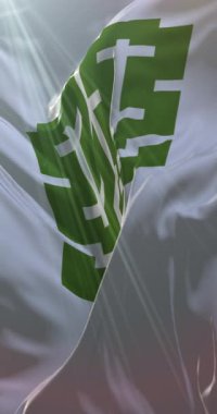 Japonya 'nın Ehime ilinin başkenti Matsuyama bayrağı. Döngü. 4K Dikey