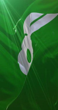 Japonya 'nın Mie ilinin bayrağı. Döngü. 4K Dikey