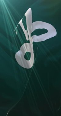 Miyagi Bölgesi bayrağı, Japonya. Döngü. 4K Dikey