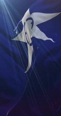 Japonya 'nın Mito şehri Japon bayrağı. Döngü. 4K Dikey