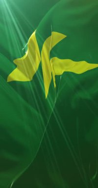 Miyazaki Bölgesi, Japonya bayrağı. Döngü. 4K Dikey