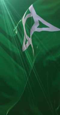 Japonya 'nın başkenti Morioka' nın bayrağı. Döngü. 4K dikey. Döngü