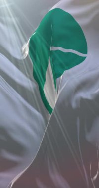 Japonya 'nın başkenti ve başkenti Nagano bayrağı. Döngü. 4K Dikey