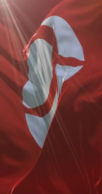 Japonya 'nın Nagano Eyaleti bayrağı. Döngü. 4K Dikey