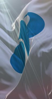 Japonya 'nın Nagasaki Bölgesi bayrağı. Döngü. 4K Dikey