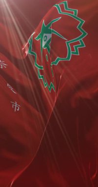 Japonya 'nın başkenti Nara bayrağı. Döngü. 4K Dikey