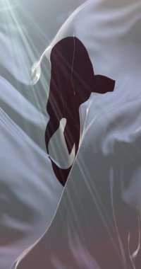 Japonya 'nın Nara Eyaleti bayrağı. Döngü. 4K Dikey