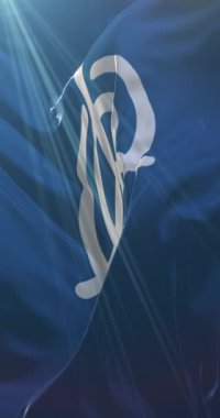 Japonya 'nın başkenti Oita' nın bayrağı. Döngü. 4K Dikey