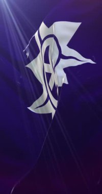 Japonya 'nın başkenti ve şehri Okayama bayrağı. Döngü. 4K Dikey