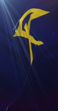 Japonya 'nın başkenti Osaka' nın bayrağı. Döngü. 4K Dikey