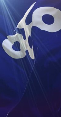 Osaka Bölgesi bayrağı, Japonya. Döngü. 4K Dikey