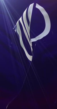 Japonya 'nın başkenti Sendai' nin bayrağı. Döngü. 4K Dikey