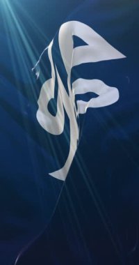 Tokyo Shinjuku, Japonya 'daki özel koğuşun bayrağı. Döngü. 4K Dikey