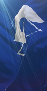 Japonya 'nın başkenti Shizuoka' nın bayrağı. Döngü. 4K Dikey