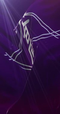 Japonya 'nın başkenti Takamatsu' nun bayrağı. Döngü. 4K Dikey