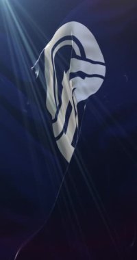 Japonya 'nın başkenti Tokushima' nın bayrağı. Döngü. 4K Dikey