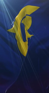 Tokushima Bölgesi bayrağı, Japonya. Döngü. 4K Dikey