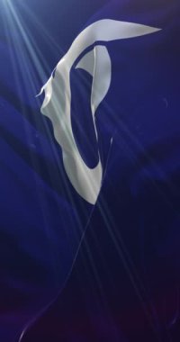 Tottori Bölgesi bayrağı, Japonya. Döngü. 4K Dikey