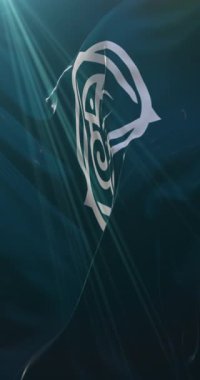 Japonya 'nın başkenti ve şehri Tottori bayrağı. Döngü. 4K Dikey