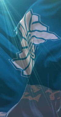 Japonya 'nın başkenti Toyama' nın bayrağı. Döngü. 4K Dikey