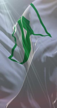 Japonya 'nın Toyama Bölgesi Japon bayrağı. Döngü. 4K Dikey