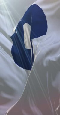 Wakayama Bölgesi bayrağı, Japonya. Döngü. 4K Dikey